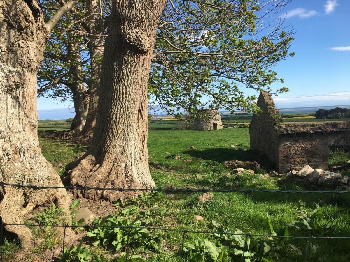 Buckton Farmhouse Белфорд Екстер'єр фото